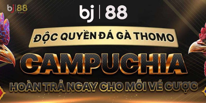 đá gà bj88